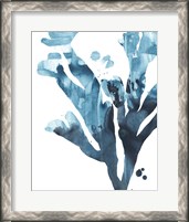 Framed 'Inkwash Kelp II' border=