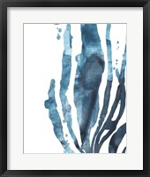 Inkwash Kelp IV Framed Print