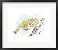 Framed Watercolor Sea Turtle Study I