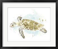 Framed Watercolor Sea Turtle Study II