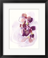 Framed Orchid Sonata II