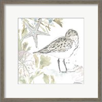 Framed 'Seaside Sandpipers I' border=