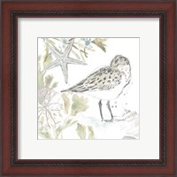 Framed 'Seaside Sandpipers I' border=