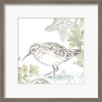 Framed 'Seaside Sandpipers II' border=