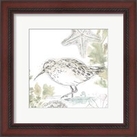 Framed 'Seaside Sandpipers II' border=