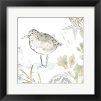 Seaside Sandpipers IV Framed Print