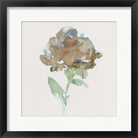 Framed 'Modern Bloom II' border=