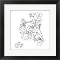 Framed Wild Strawberries I