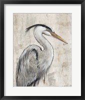 Grey Heron I Framed Print