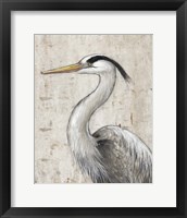 Framed 'Grey Heron II' border=