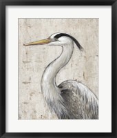 Grey Heron II Framed Print