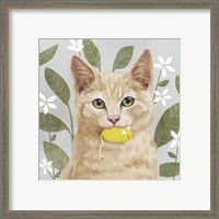 Framed 'Pet Life II' border=