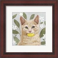 Framed 'Pet Life II' border=