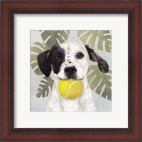 Framed 'Pet Life IV' border=