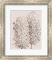 Framed 'Pampas Grass III' border=