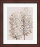 Framed 'Pampas Grass III' border=