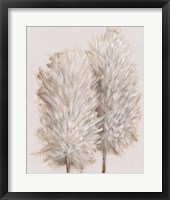 Pampas Grass III Framed Print