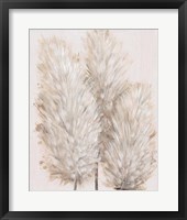 Pampas Grass IV Framed Print