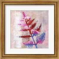 Framed 'Dappled Fern I' border=