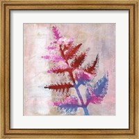 Framed 'Dappled Fern I' border=