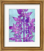 Framed 'Purple Planta I' border=