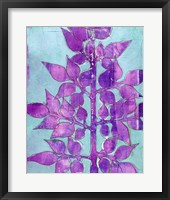 Purple Planta I Framed Print