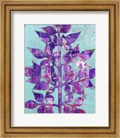 Framed 'Purple Planta II' border=