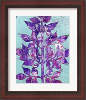 Framed 'Purple Planta II' border=