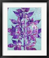 Framed 'Purple Planta II' border=