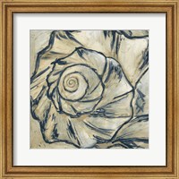 Framed 'Navy Seashell Spiral I' border=