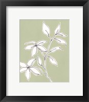 Framed 'Botanic Drawing I' border=