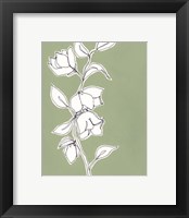 Framed 'Botanic Drawing II' border=