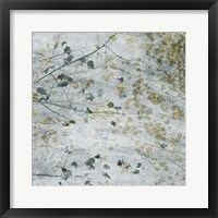 Seasonal Transition I Framed Print