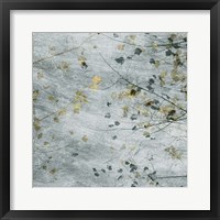 Seasonal Transition III Framed Print