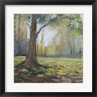 Framed 'Path to the Tree I' border=