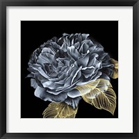 Framed River Roses I