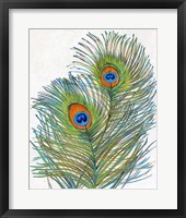 Vivid Peacock Feathers I Framed Print