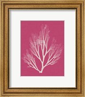 Framed 'Seaweed Pop III' border=