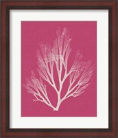 Framed 'Seaweed Pop III' border=