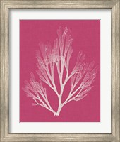 Framed 'Seaweed Pop III' border=