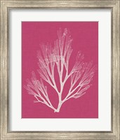 Framed 'Seaweed Pop III' border=