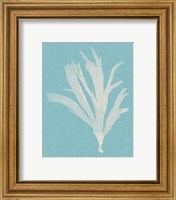 Framed 'Seaweed Pop IV' border=