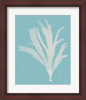 Framed 'Seaweed Pop IV' border=