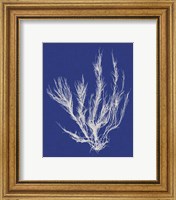 Framed 'Seaweed Pop VI' border=