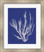 Framed 'Seaweed Pop VI' border=