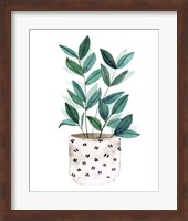 Framed 'Plant in a Pot I' border=