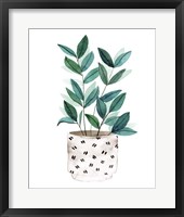 Plant in a Pot I Framed Print