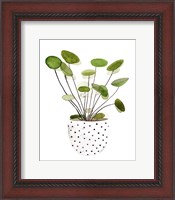 Framed 'Plant in a Pot II' border=