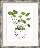 Framed 'Plant in a Pot II' border=