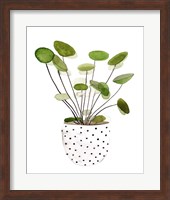 Framed 'Plant in a Pot II' border=